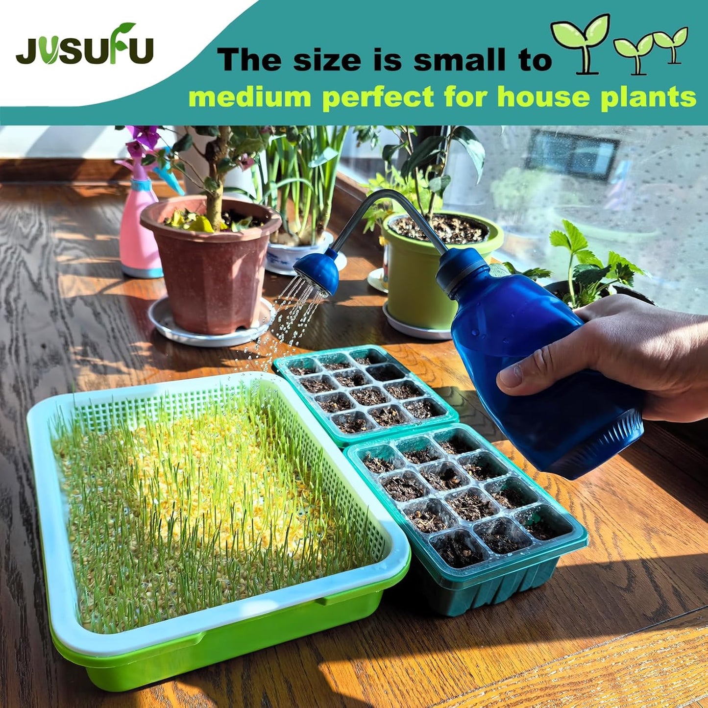 Watering Can for Seedlings, Small Watering Can for House Plant Garden Flower 15oz/0.45l (Blue)