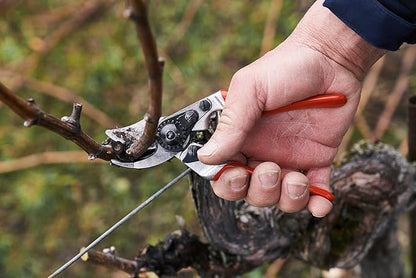 Felco F 14 Pruning Shears – 7.1" Garden Clippers for Small Hands with Bypass & Anvil Blades | Hand Pruners for Gardening | Garden Tool Cutter with Forged Alloy Steel Build, Lightweight Swiss Design