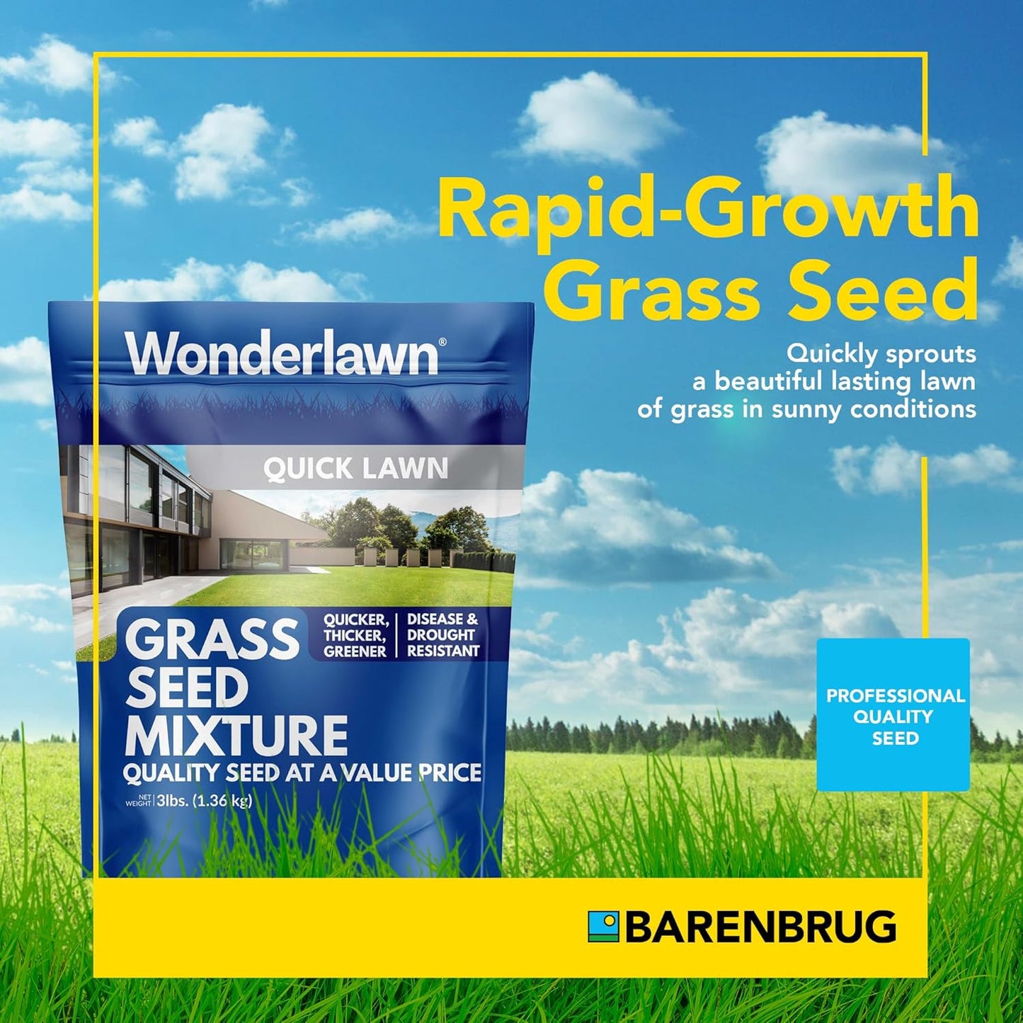 Barenbrug Wonderlawn Quicklawn Grass Seed Mix for Lawn Care and Landscaping, 3 lbs. Bag