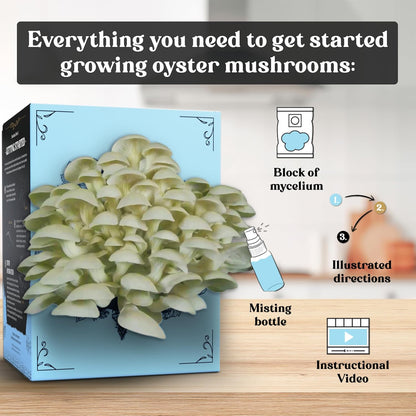 Oyster Mushroom Grow Kit | USDA Certified Organic | Grow Your Own Delicious Gourmet Mushrooms at Home