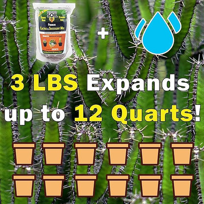 WONDER SOIL | Organic Cactus & Succulent Soil (12 Quarts). Fast Draining Ready to Plant Coco Coir Loaded w/Nutrients | 3 LBS Expands to 12 Quarts | Incl Worm Castings & Nutrients