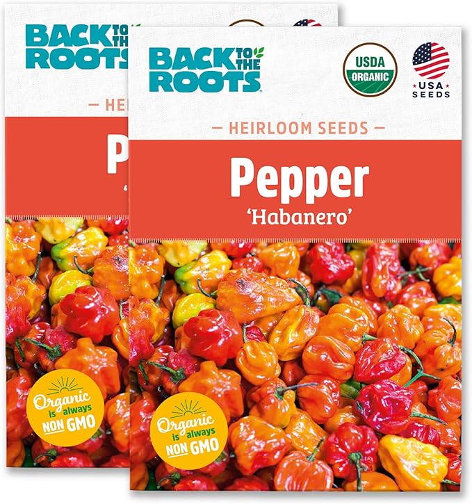Back to The Roots 100% Organic Heirloom Seeds - Habanero Pepper Seeds for Planting Value Pack (280mg Total)