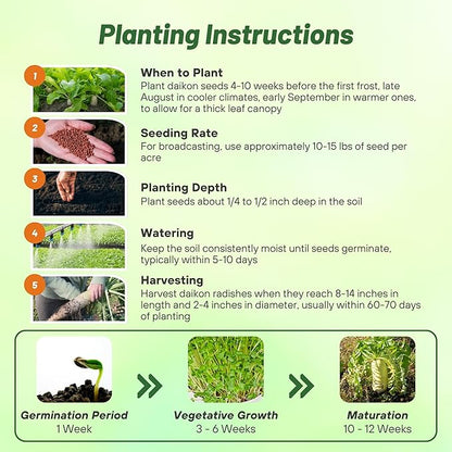 Outsidepride Annual Daikon Radish Seeds - 50 lbs. Chinese, Japanese, & Oriental Radish Seeds for Soil Health, Erosion Control, & Soil Aeration - Ideal for Gardens, Cover Crops, Pastures, & Food Plots