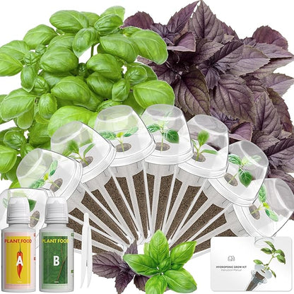 Hydroponics Seed Pod with Genovese Basil & Purple Basil, 8 Pods Complete Kit with Sponge, Basket, Dome, Label, Compatible with AeroGarden, Ahopegarden, GARDENCUBE, iDoo & MUFGA Indoor Smart Gardens