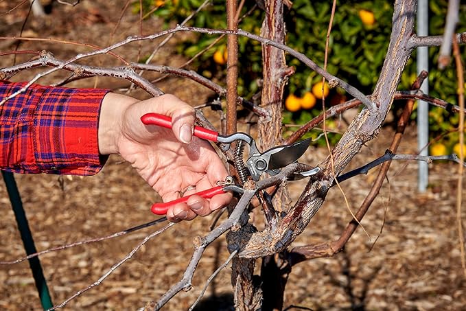 Corona Tools | ClassicCUT Forged Bypass Pruning Shears for Gardening | Cuts Branches and Stems up to 1/2-inch in Diameter | BP 3130