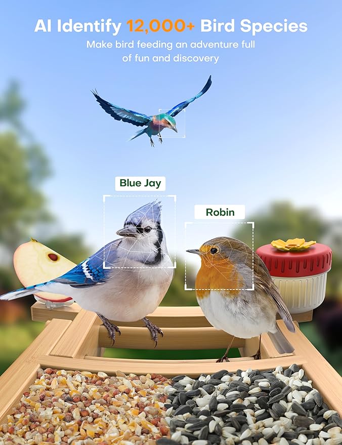 Bird Feeder with Camera: 160° Wide View & 2.5K Live Video, AI Auto Identify 12000+ Birds Species, Instant Arrival Alerts, Eco Natural Bamboo Build, Solar Smart Bird Feeders for Outdoors