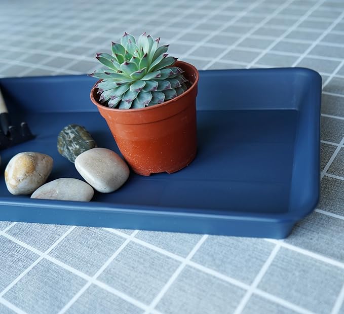 6 Pack of Plastic Plant Trays, Rectangular Plant Saucers for Indoors Outdoor, Water Drip Trays for Flower Pot Planter, Windowsill (6 X 11 Inch, Blue)