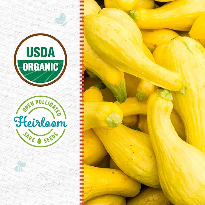 Back to The Roots 100% Organic Heirloom Seeds - Squash Value Pack (4g Total)