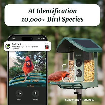 Beako™ Smart Bird Feeder with 4K Camera 4.4W Solar Roof for Outdoors - Ultra HD Live Stream & Photos, 10,000+ Bird Species AI-Identified, Real-Time Motion Detection, Easy Setup, Refill & Clean