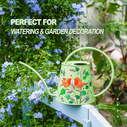 Berry&Bird House Plants Watering Can - Indoor & Outdoor 1/2 Gallon Stainless Steel Water Can with Long Spout Garden Decoration for Flower Bonsai Succulent Gardening Large Watwer Bottle(2L/Robin)