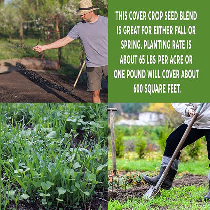No-Till Farm and Garden Cover Crop Mix Seeds - 25 Lbs Bulk - Blend of Gardening Cover Crop Seeds: Hairy Vetch, Daikon Radish, Forage Collards, Triticale, More