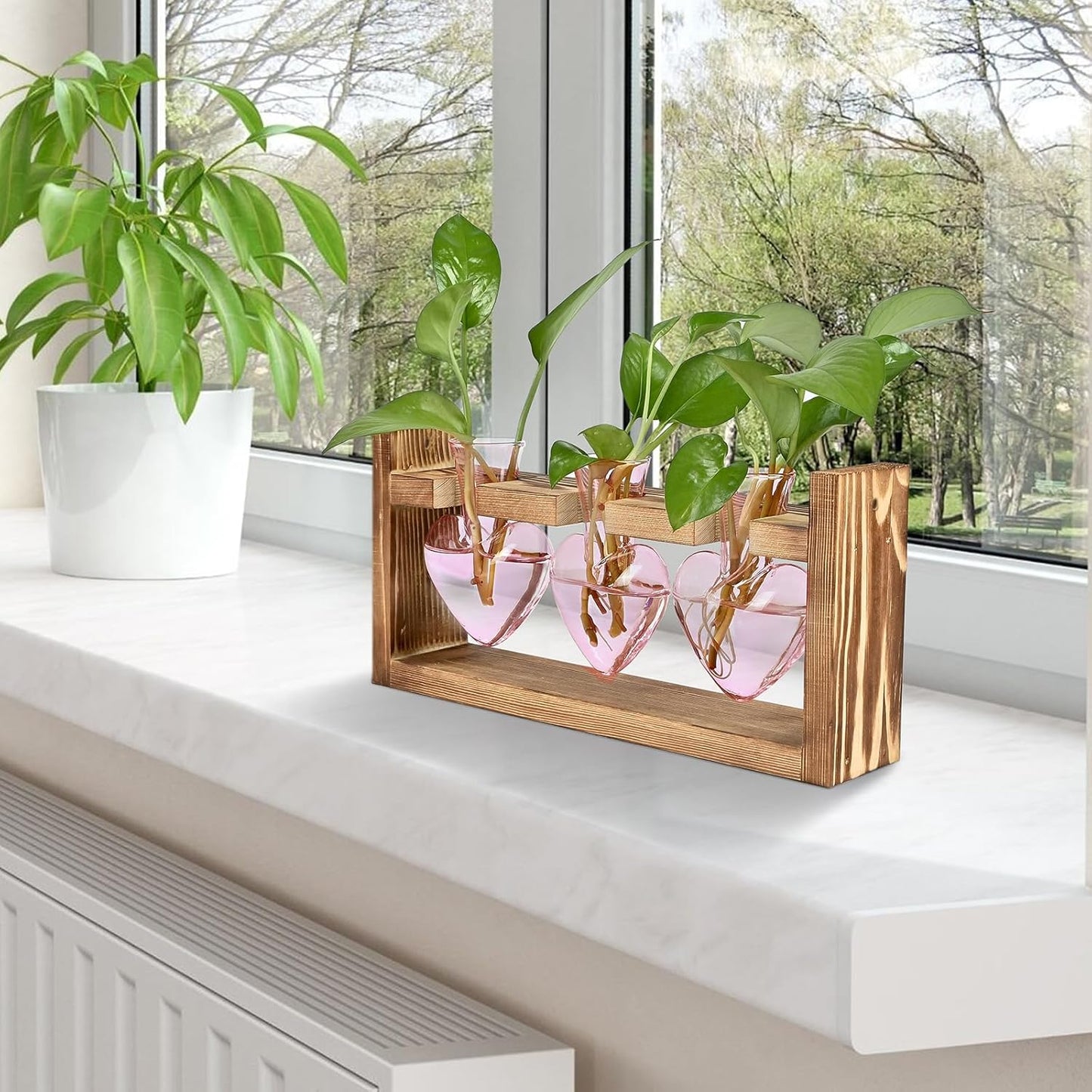 Plant Terrarium Propagation Stations Hydroponics Home Garden Decoration Gift for Women with Wooden Stand Heart Shaped Colored Glass Vase