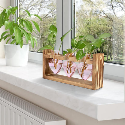 Plant Terrarium Propagation Stations Hydroponics Home Garden Decoration Gift for Women with Wooden Stand Heart Shaped Colored Glass Vase