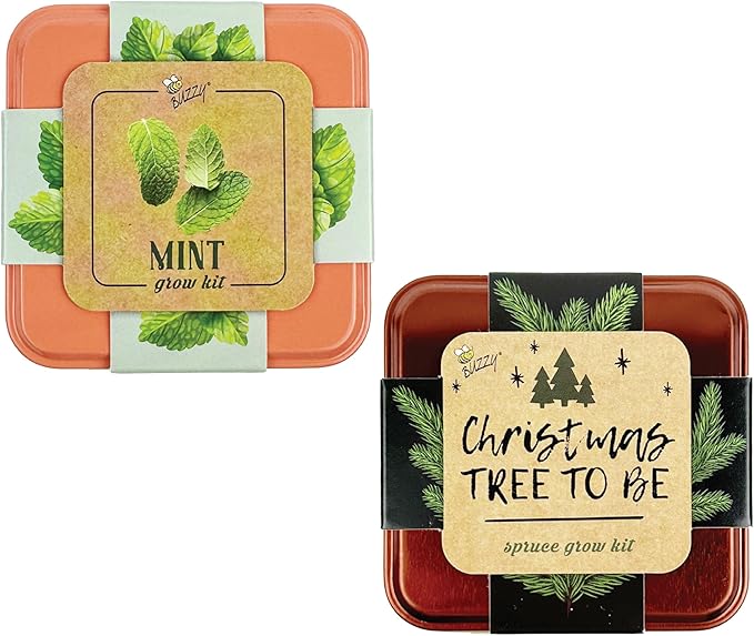 BUZZY Seeds Holiday Mini Spruce and Mint Square Tin Grow Kit 2-Pack, All-in-One Indoor DIY Gardening Gift, Stocking Stuffer, Party Favors Adults, Secret Santa, Present for Gardeners