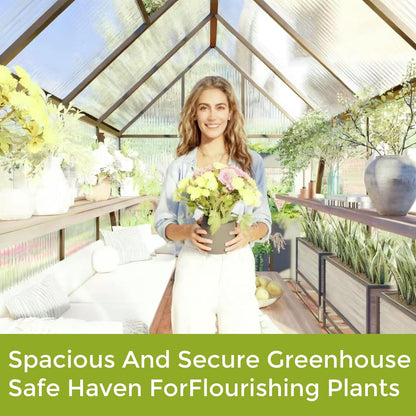 CQZY 6x6 FT Greenhouse for Outdoors, Polycarbonate Greenhouse with Quick Setup Structure and Roof Vent, Aluminum Large Walk-in Green House for Outside Garden Backyard, Dark Gray