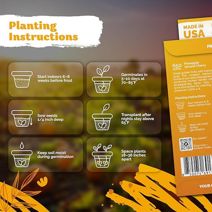 KVITER 650 Aunt Molly Ground Cherry Seeds for Planting (Physalis pruinosa) – Non GMO & Heirloom Pineapple Ground Husk Cherry Tomatoes, Organic Fruit Seeds – Tropical Flavor Berries