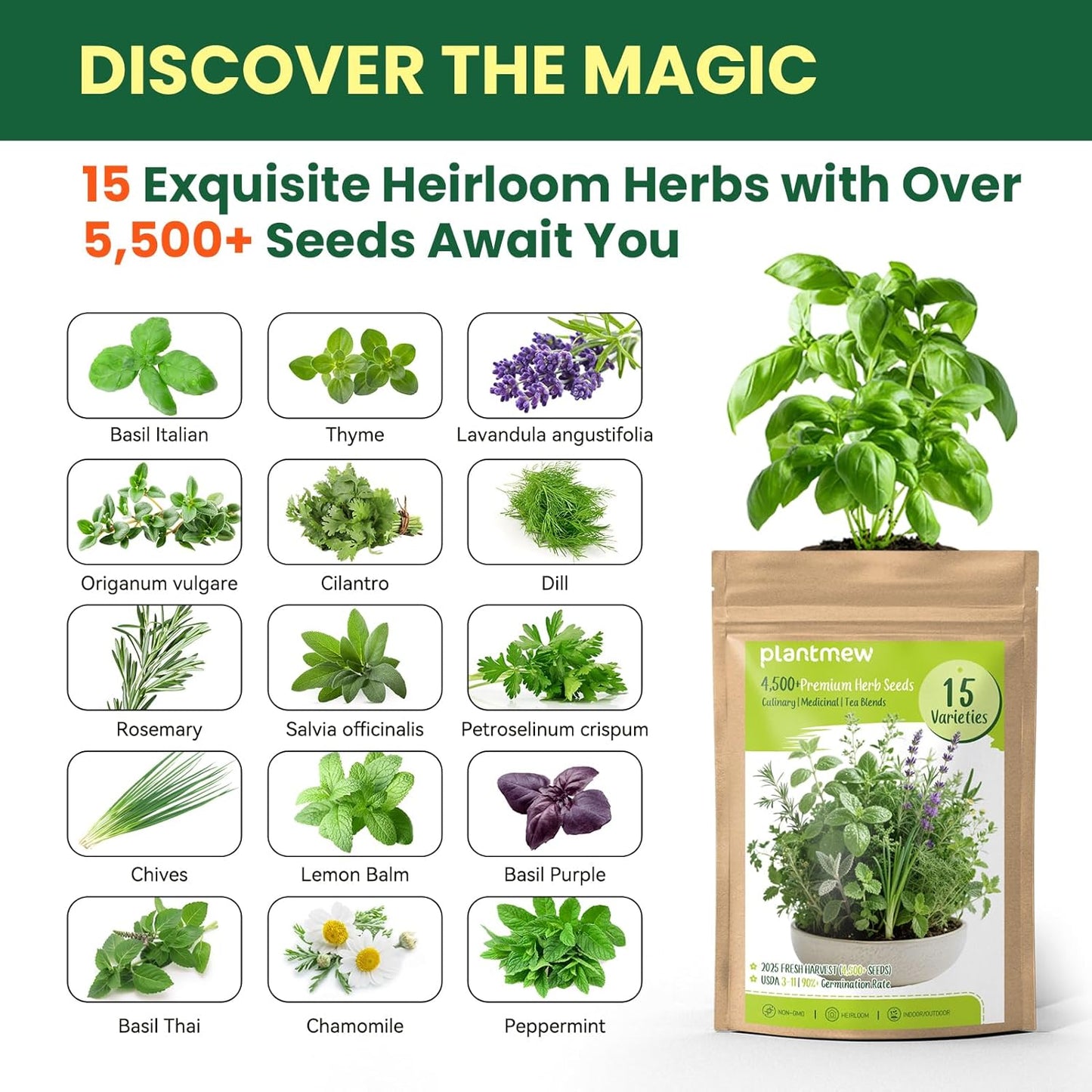 Herb Seeds 15-Pack – 4,500+ Non-GMO Heirloom Seeds for Planting – Indoor & Outdoor Herb Garden Kit with Basil, Cilantro, Rosemary, Thyme, Dill, Sage – Medicinal & Culinary Herb Seeds Variety Pack