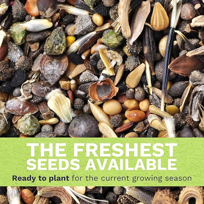 Zinnia Luminosa - Bulk 1/4 Pound Pouch - 15,000 Flower Seeds for Planting - Zinnia elegans