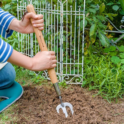 Berry&Bird Gardening Hand Fork, 22.6 Inches Long Handled Stainless Steel Weed Fork, Traditional Garden Hand Fork Tool with Ergonomic Ash Wood Handle for Weeding, Digging, Planting and Cultivating