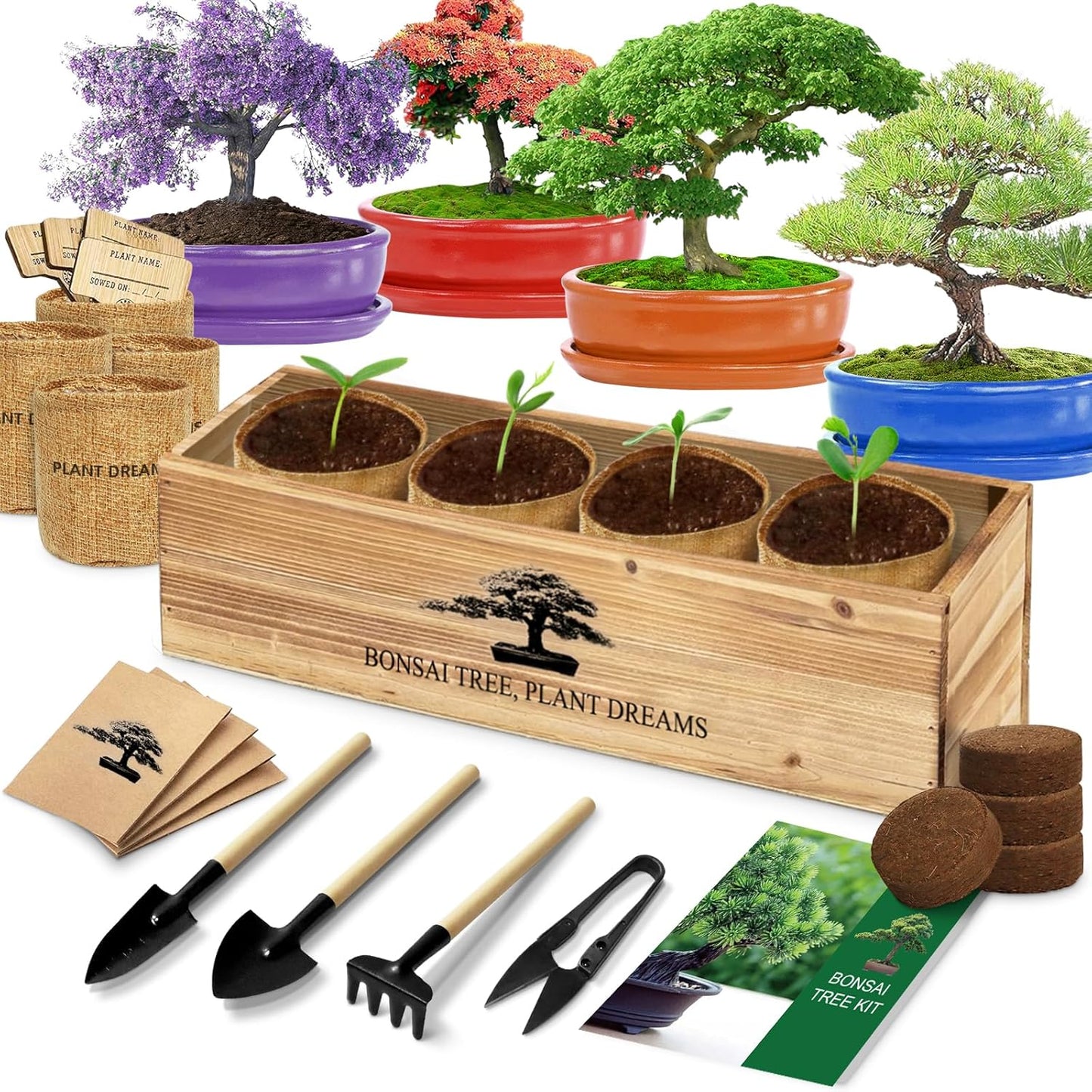Bonsai Tree Kit, Bonsai Starter Kit with Seeds Tools & Planters, Tree Live Plants Indoor, Gardening Gifts for Women Men Mom Father Plant Lover, Birthday Thanksgiving Christmas Gifts