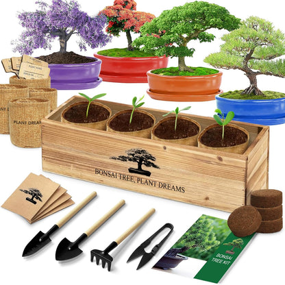 Bonsai Tree Kit, Bonsai Starter Kit with Seeds Tools & Planters, Tree Live Plants Indoor, Gardening Gifts for Women Men Mom Father Plant Lover, Birthday Thanksgiving Christmas Gifts