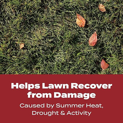 Scotts Turf Builder WinterGuard Fall Lawn Fertilizer for All Grass Types, 4,000 sq. ft., 10 lbs.