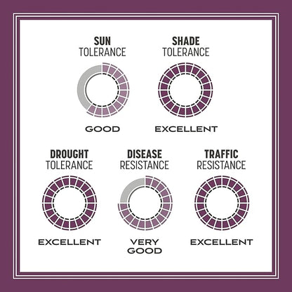 Pennington The Rebels Tall Fescue Shady Grass Seed Mix 7 lb