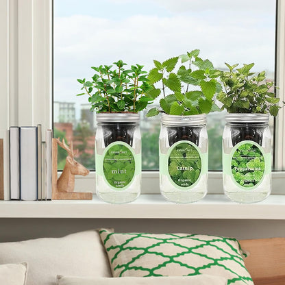 Hydroponic Herb Growing Kit Set, Self-Watering Mason Jar Herb Garden Starter Kit Indoor, Grow Your Own Herbs from Seeds (Mint, Peppermint & Catnip)