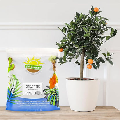 Citrus Tree Potting Soil Mix (8 Quarts), Special Blend for Indoor Oranges, Lemons, Limes and More