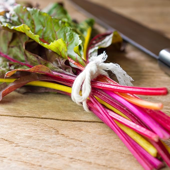 Back to The Roots 100% Organic Heirloom Seeds - Five Color Silverbeet Swiss Chard Value Pack (420mg Total)