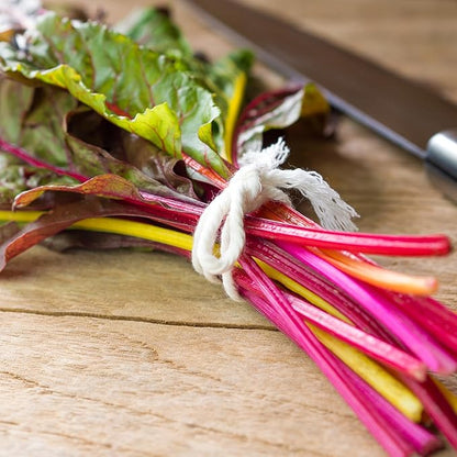 Back to The Roots 100% Organic Heirloom Seeds - Five Color Silverbeet Swiss Chard Value Pack (420mg Total)