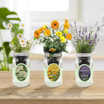 Hydroponic Herb Growing Kit Set, Self-Watering Mason Jar Herb Garden Starter Kit Indoor, Grow Your Own Herbs from Seeds (Calendula, Chamomile & Lavender)