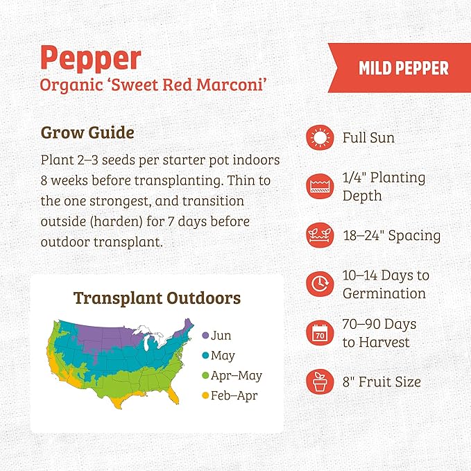 Back to The Roots 100% Organic Heirloom Seeds - Long Sweet Red Pepper Value Pack (280mg Total)