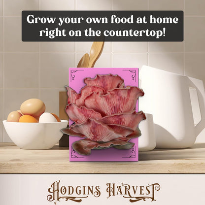 Pink Oyster Mushroom Grow Kit (4lbs) | USDA Certified Organic | Grow Your Own Delicious Gourmet Mushrooms at Home