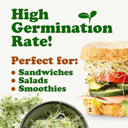 Food to Live Organic Antioxidant Mix of Sprouting Seeds, 3 Pounds - Non-GMO Broccoli, Alfalfa, and Clover Seeds, High Germination Rate, Kosher, Vegan, Bulk, Rich in Sulforaphane