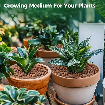 T4U Leca Clay Pebbles for Plants, 1.5qt 10-20 mm Clay Balls for Indoor Plants, Natural Clay Pebbles for Orchid Potting Mix, Hydroponic, Leca Pots, Plant Drainage, Garden Soil