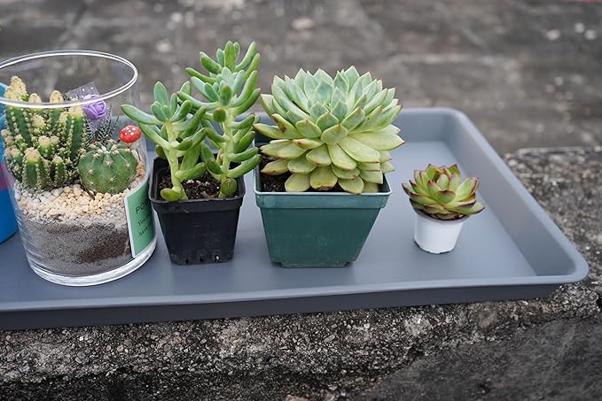 Rectangle Plant Tray, Plant Drip Tray, Plant Pot Saucers, Plant Germination Trays, Plant Saucers, 14.5'' x 11'' x 1.5'' (2 pack), Gray