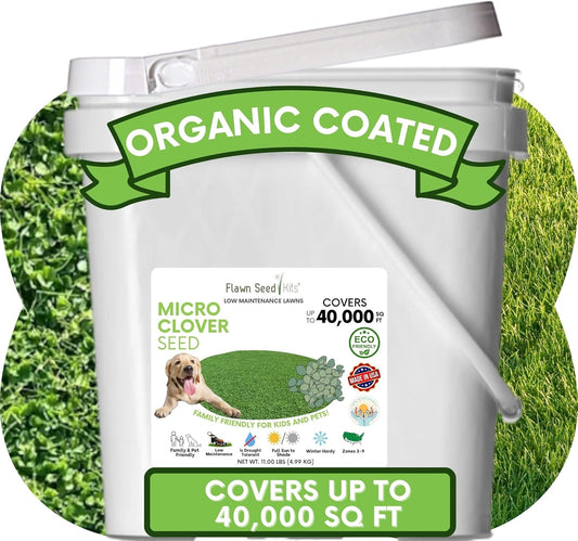Flawn Seed Kits 11 Lbs Micro Clover Seed, Organic Coated, Eco-Friendly, Low Growing, Low Maintenance, Lawn Alternative, Pail with Handle, Covers up to 40,000 Sqft