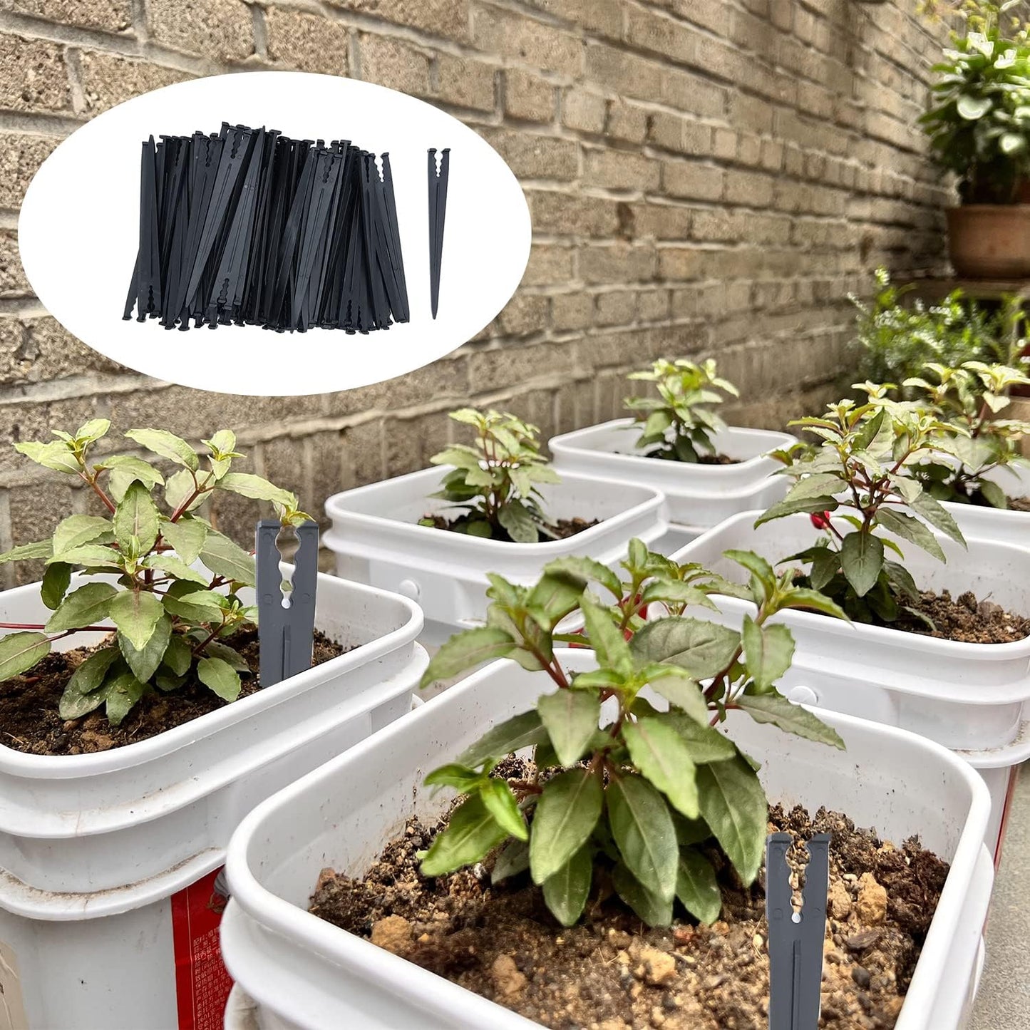 80 Pcs Irrigation Drip Support Stakes 1/8-1/4" Universal Drip Lines Tubing Hose for Gardens, Flowers, Plants, Vegetable