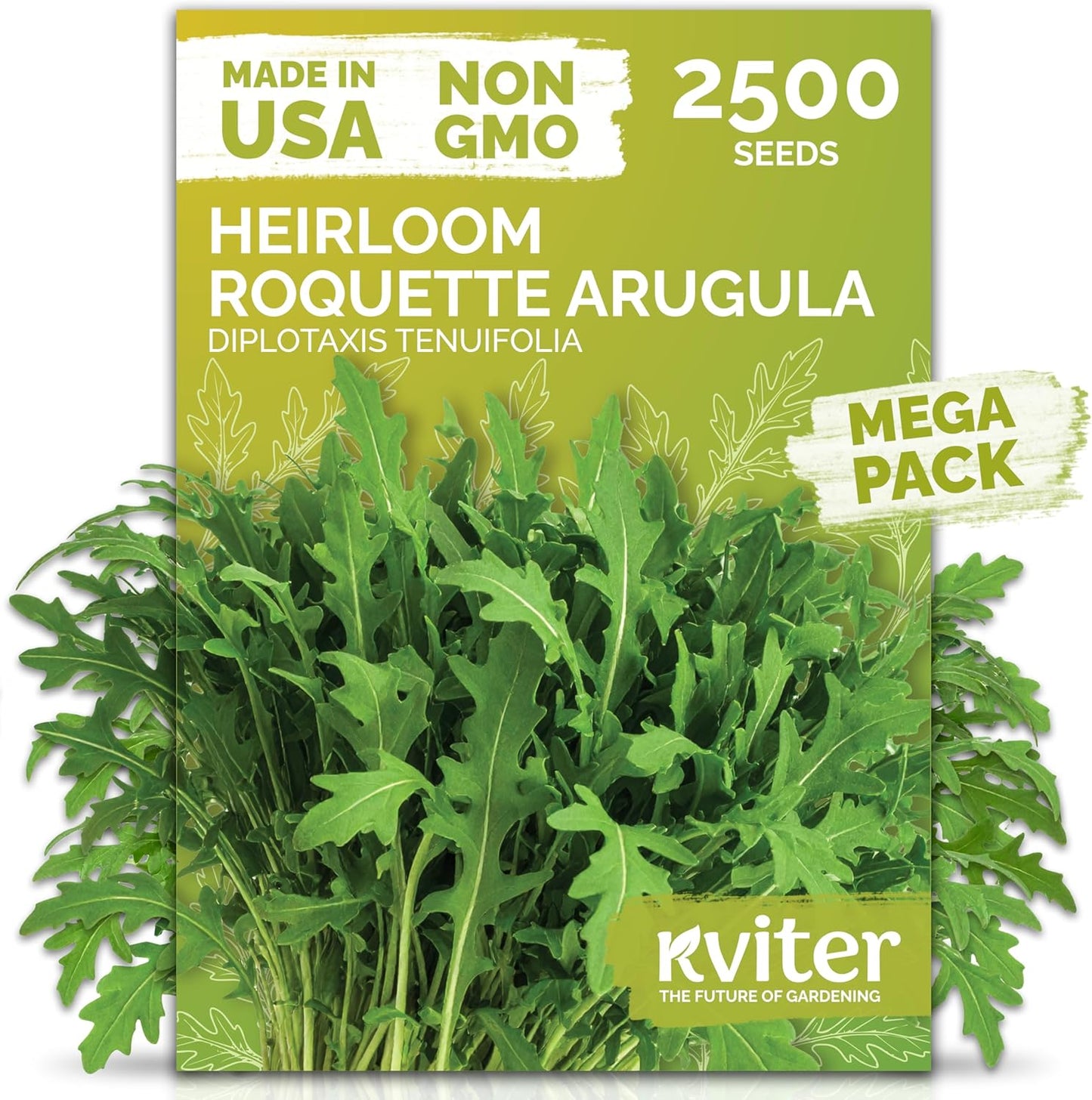 KVITER 2500 Roquette Arugula Seeds (Diplotaxis tenuifolia) - Arugula Fresh Organic & Non GMO Perennial Seed, Wild/Wall Rocket - Heirloom Herb Seeds for Planting in Outdoor & Indoor Garden
