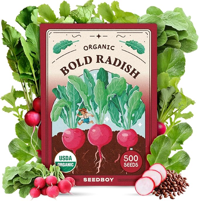 Seedboy Organic Radish Seeds for Planting Indoor and Outdoor, Non-GMO and USDA Certified Vegetable Seed Packet for Hydroponic Garden Indoor or Planting Outdoors (Cherry Belle Radish)