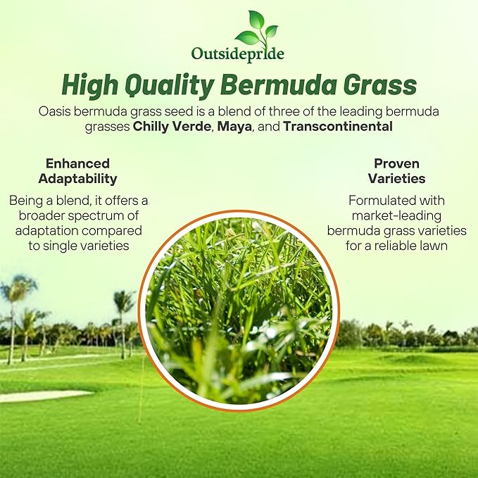 Outsidepride Oasis Bermuda Grass Seed - 25 lbs Warm Season, High Traffic, Heat Resistant, Drought-Tolerant, Low-Maintenance, Fast Growing Turf Grass for Lawn, Ideal for Sunny Areas, Thick Coverage