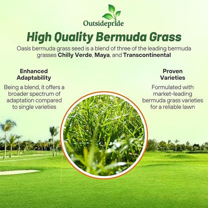 Outsidepride Oasis Bermuda Grass Seed - 25 lbs Warm Season, High Traffic, Heat Resistant, Drought-Tolerant, Low-Maintenance, Fast Growing Turf Grass for Lawn, Ideal for Sunny Areas, Thick Coverage