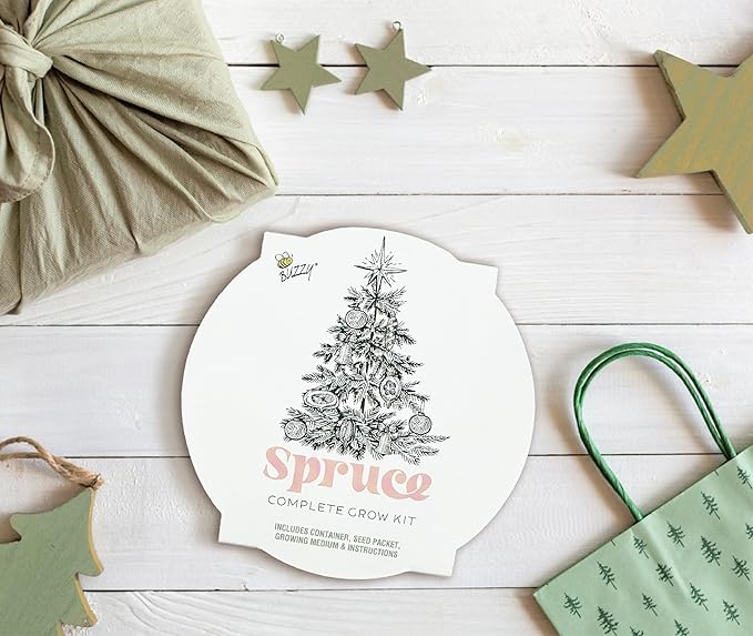 Buzzy Seeds Spruce Christmas Tree to Be Grow Kit, Complete with a Mini Galvanized Basin Planter, Non-GMO Seeds and Growing Medium, Fun DIY Holiday Gardening Gift, Stocking Stuffer, Party Favor