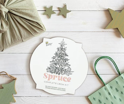 Buzzy Seeds Spruce Christmas Tree to Be Grow Kit, Complete with a Mini Galvanized Basin Planter, Non-GMO Seeds and Growing Medium, Fun DIY Holiday Gardening Gift, Stocking Stuffer, Party Favor