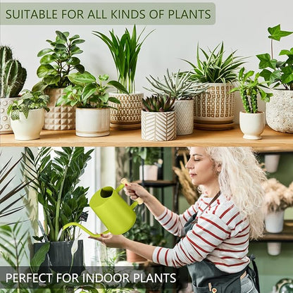 Watering Can Indoor Plants, 35oz Small Stainless Steel Metal Watering Can Modern Decorative Watering Pot with Long Spout for Indoor House Plant Bonsai Garden Flowers (Bright Green)