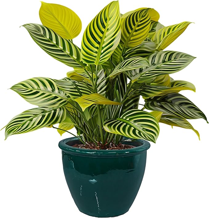 Sunnydaze Large Ceramic Plant Pot - Round Outdoor Glazed Ceramic Planter Pot with Drainage - Chalet -Dark Green - 14.5"