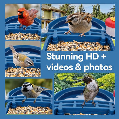 Bird Feeder with Camera Solar Powered, 2.5K HD Video Bird House Live View, Smart AI Bird Species Identification for Outside Garden,Birds Bath,Ideal Gift for Birds Lover (Blue)