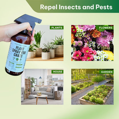 Kate's Garden Plant Spray for Insects & Getting Rid of Gnats. Fungus Gnat Killer & Bug Spray for Indoor Plants (16oz, Pet Safe, Non Toxic)