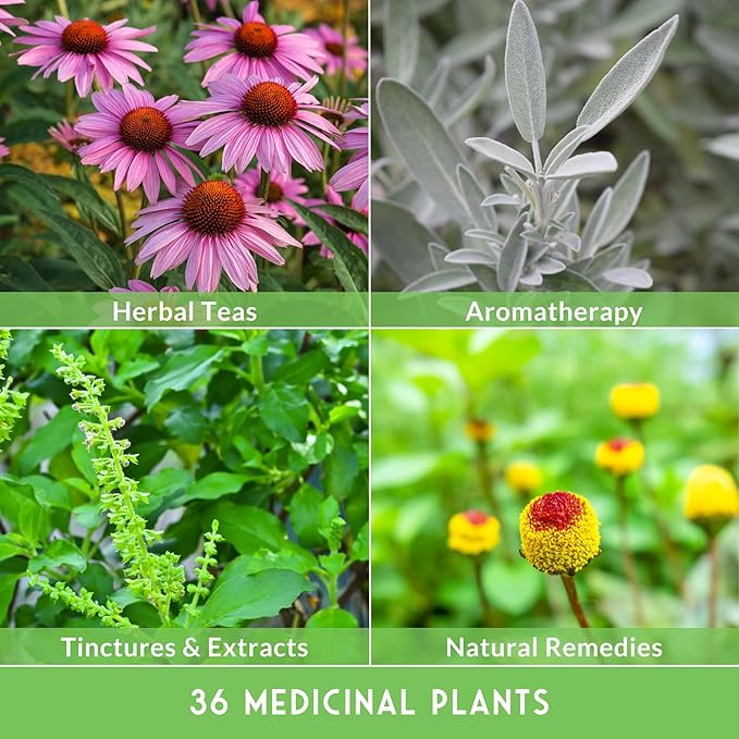 Ultimate Medicinal Herb Seeds Variety Pack – 36 Heirloom Varieties, 28,000+ Lavender, Calendula, Echinacea, Peppermint, Yarrow – Non-GMO Garden Kit by Survival Garden Seeds